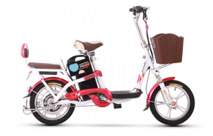 愛瑪米樂電動(dòng)自行車產(chǎn)品信息概覽 價(jià)格與制造商解析